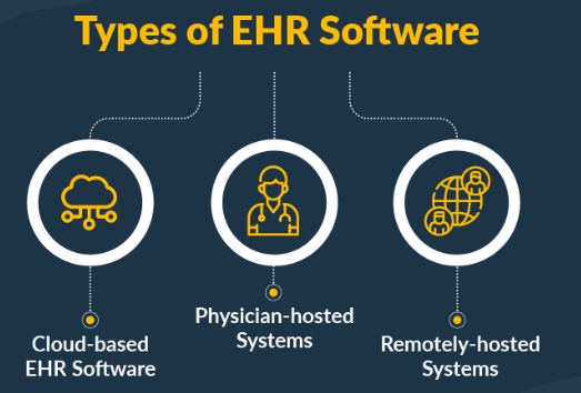 types of electronic health records