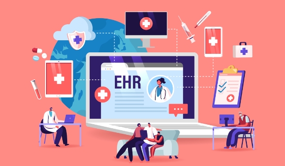 ehr healthcare system